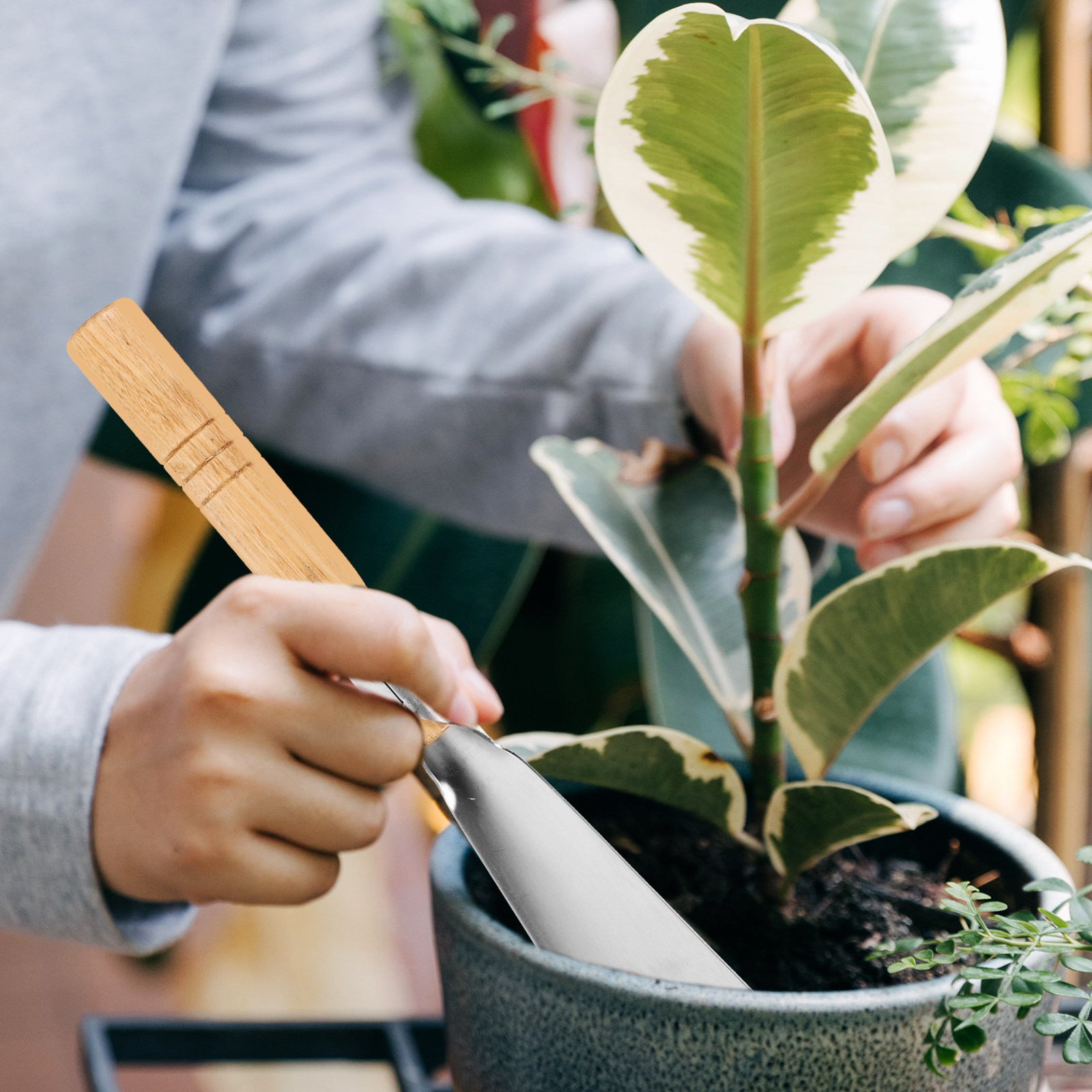 Garden Hand Trowel - Stainless Steel Garden Trowel with Natural
