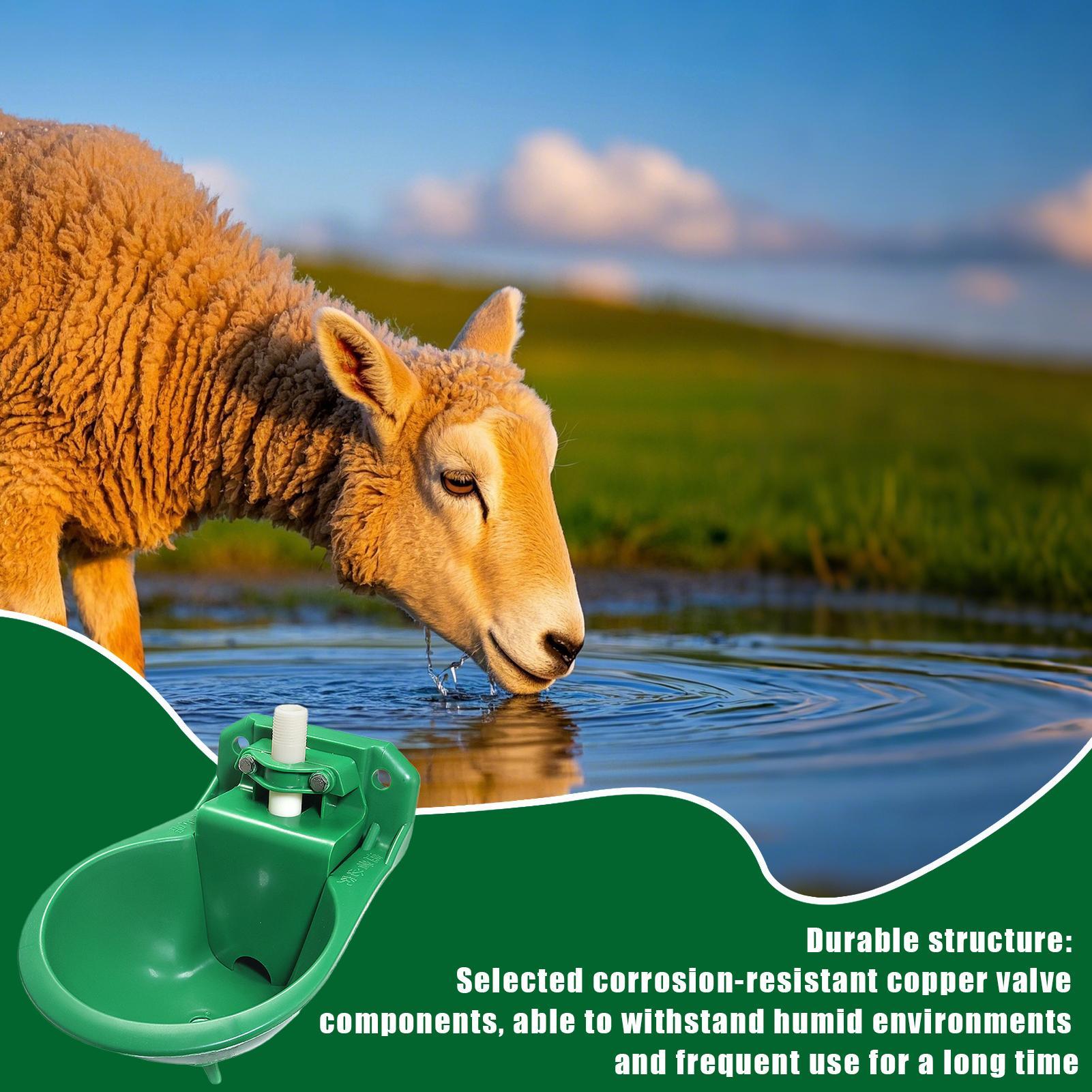 Gardening Tools For Women - Horse Water Drinker Bowl With Copper