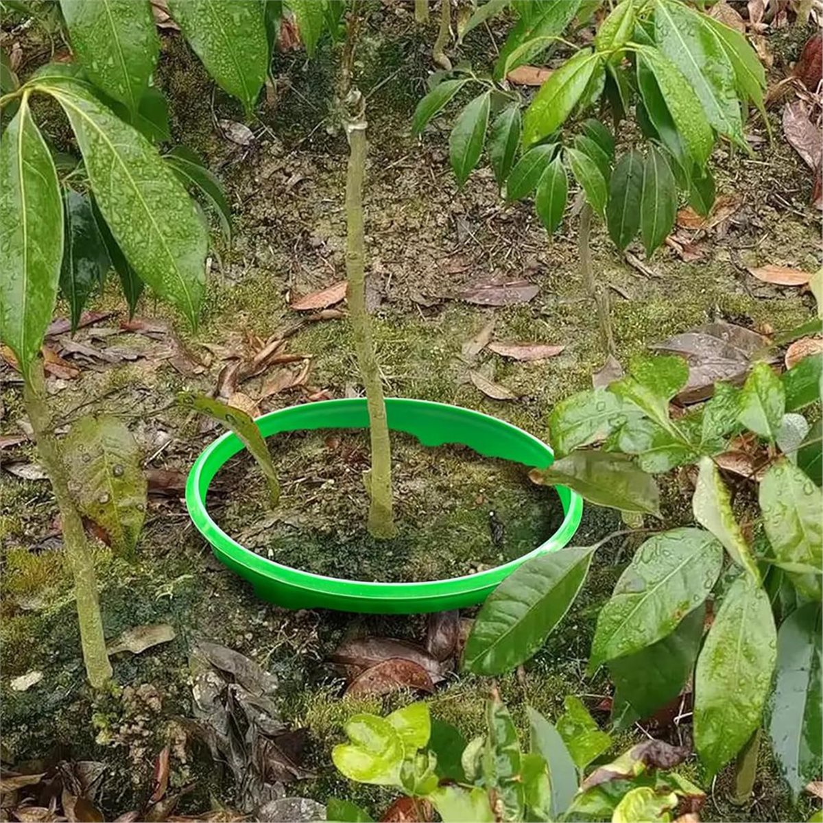 【COUNTDOWN DEAL】 4 Plant Guard - огляд і ціна Gardening Tools Deals