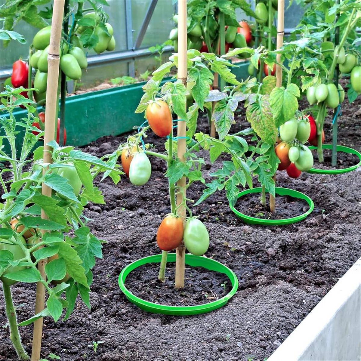 【COUNTDOWN DEAL】 4 Plant Guard - огляд і ціна Gardening Tools Deals