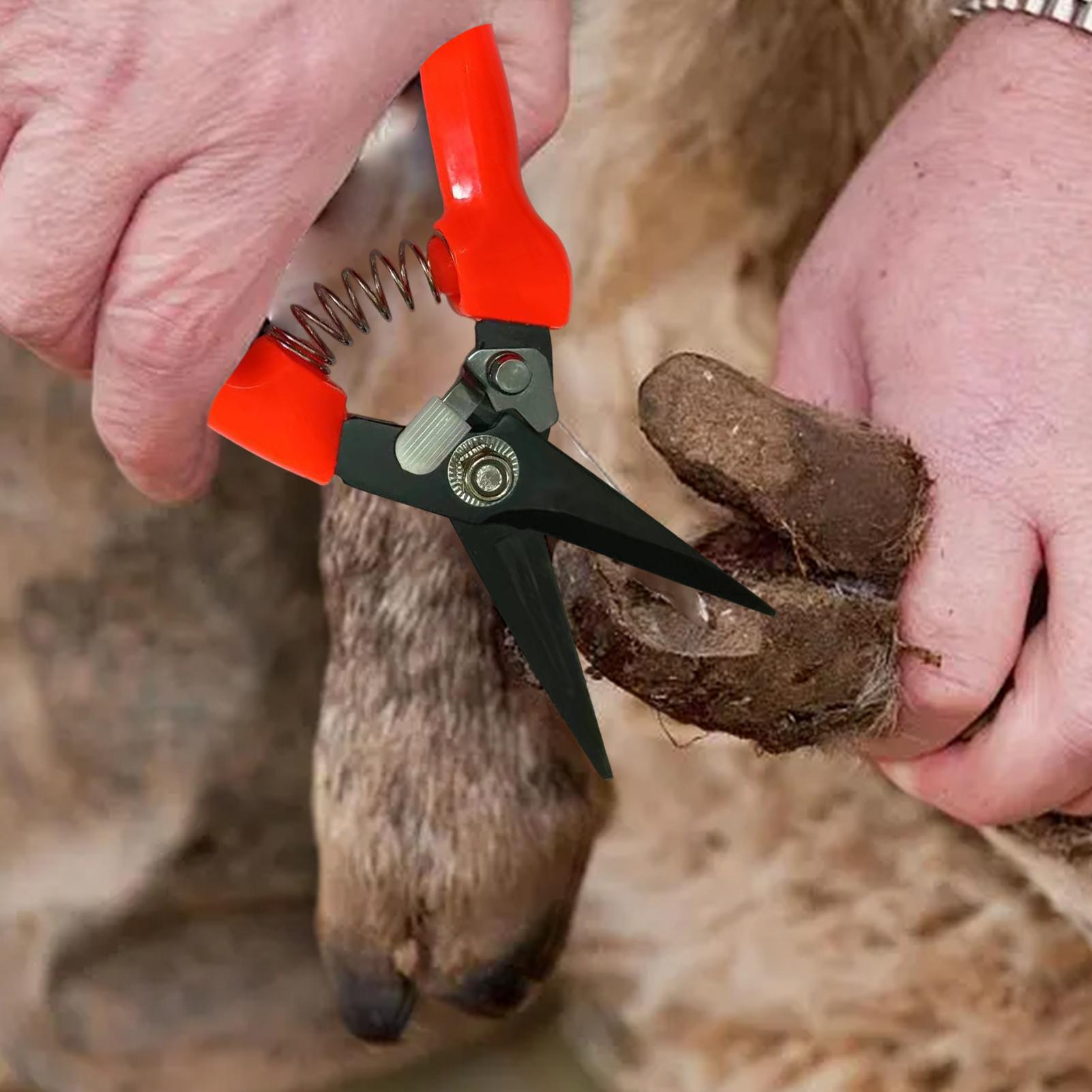 Sheep Hoof Trimmers Shrub Plan - огляд і ціна Garden Hand Trowel
