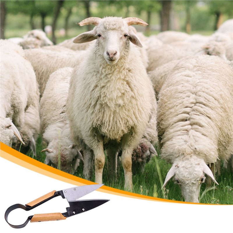 【FLASH DEAL】Heavy Duty 13Inch  - огляд і ціна Gardening Tools Deals