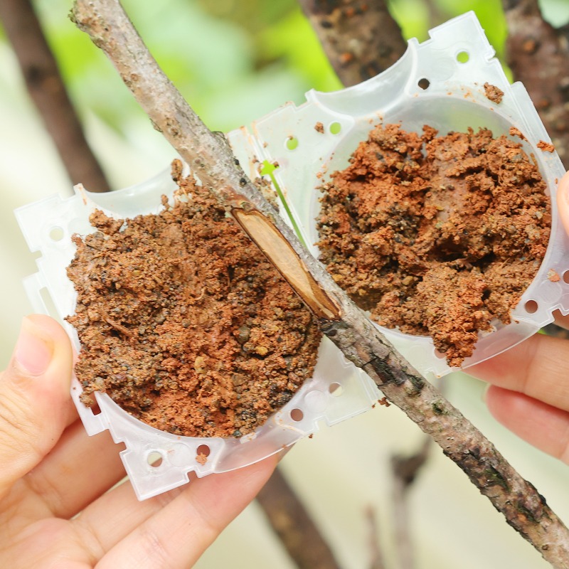 Reusable Plant Rooting Ball Gr - огляд і ціна Gardening Tools Organiser