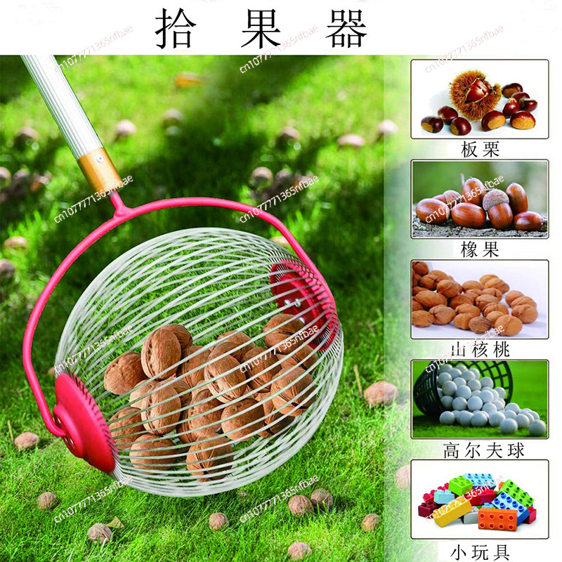 Amazon, Fruit Collector, Nut C - огляд і ціна Gardening Tools Amazon