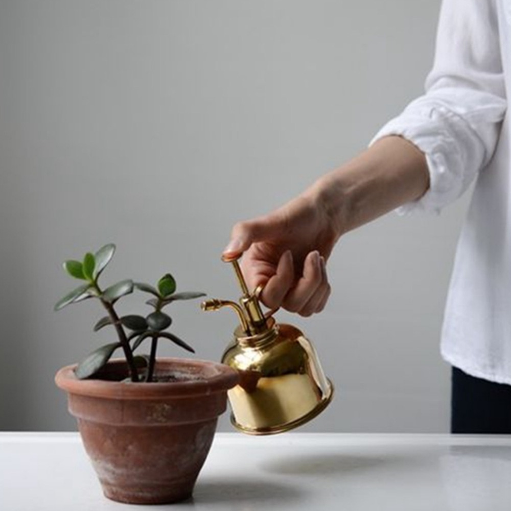 Brass Watering Can Spray Bottl - огляд і ціна Gardening Tools Vintage