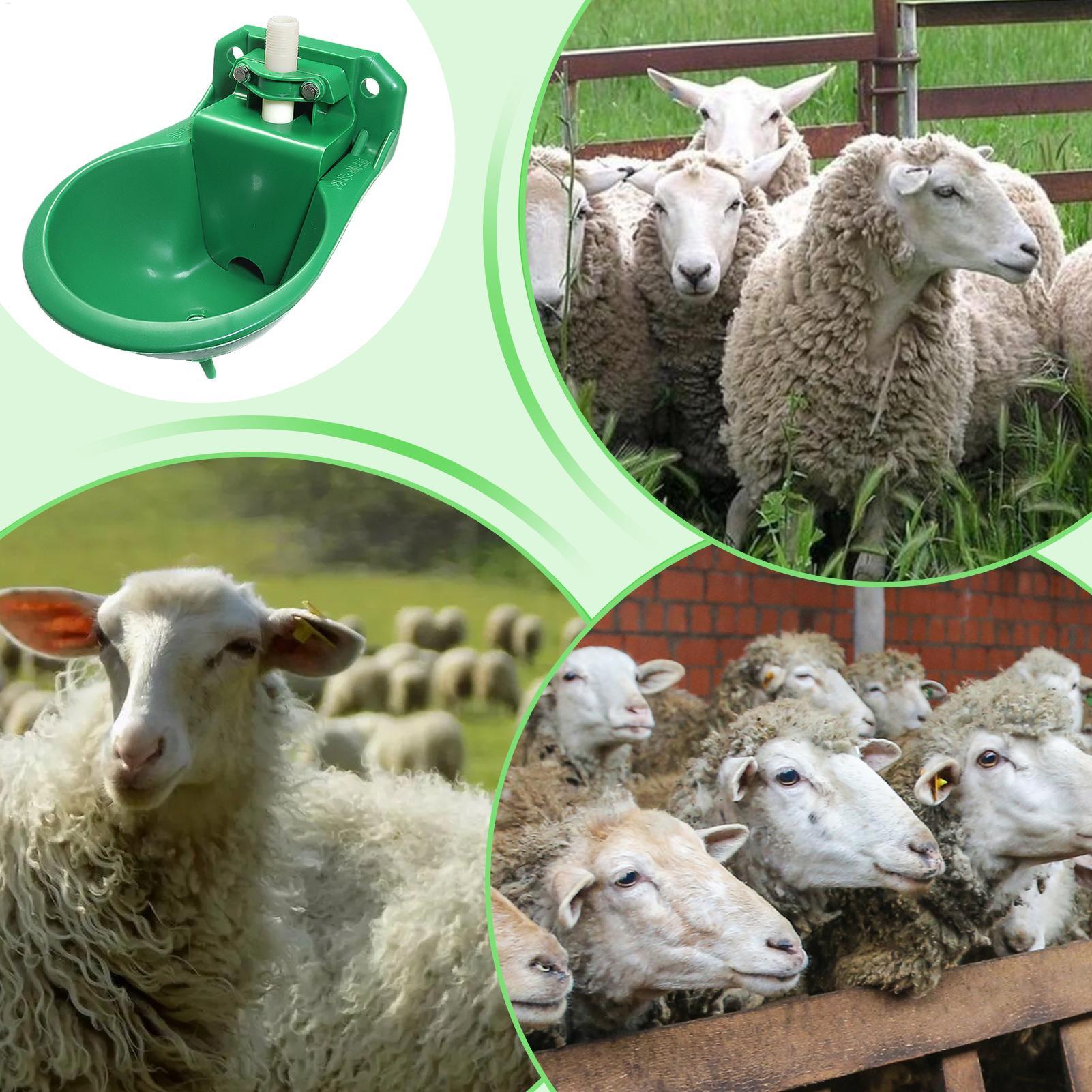Horse Water Drinker Bowl With  - огляд і ціна Gardening Tools For Women