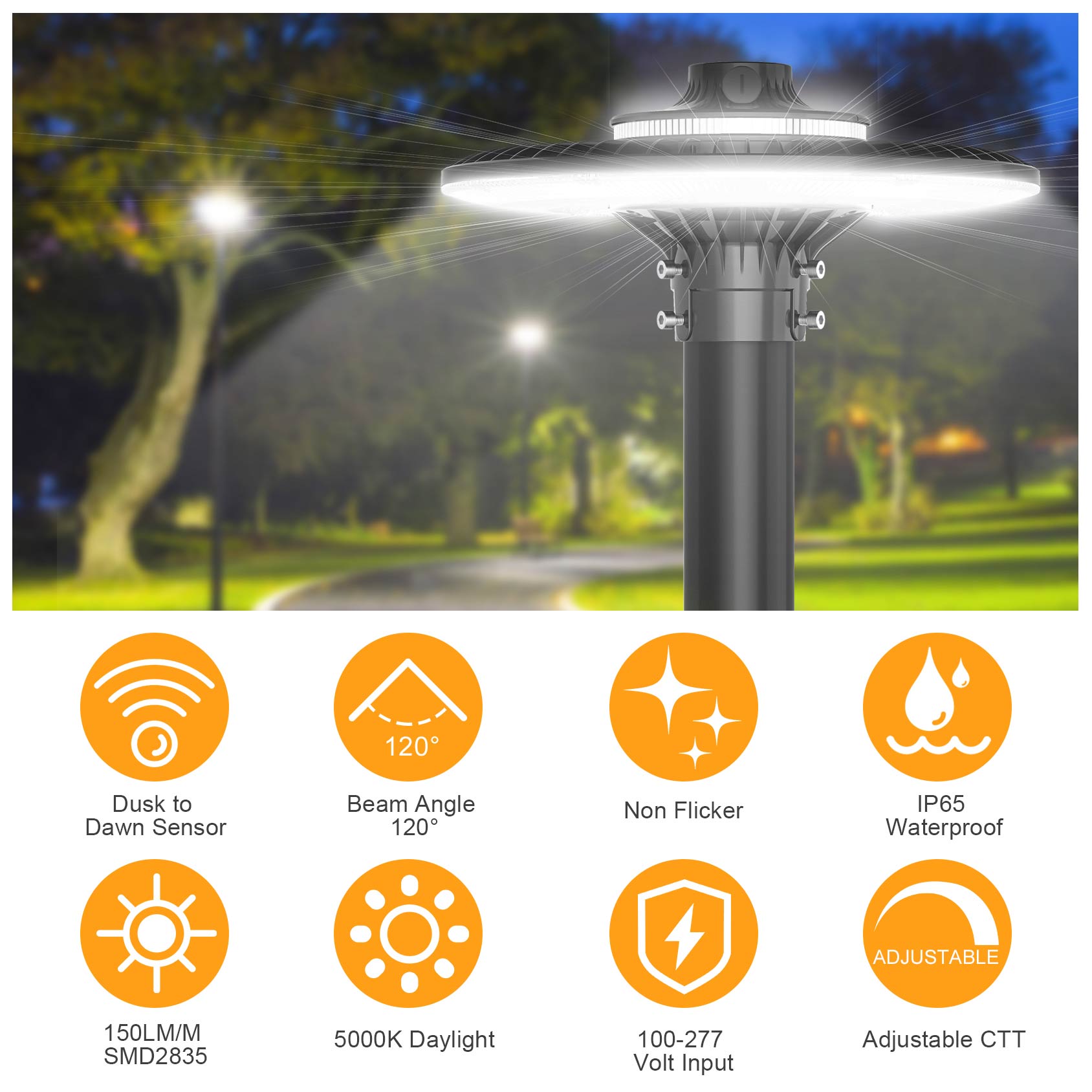 LED POST TOP Fixture ETL CE UL - огляд і ціна Gardening Tools List