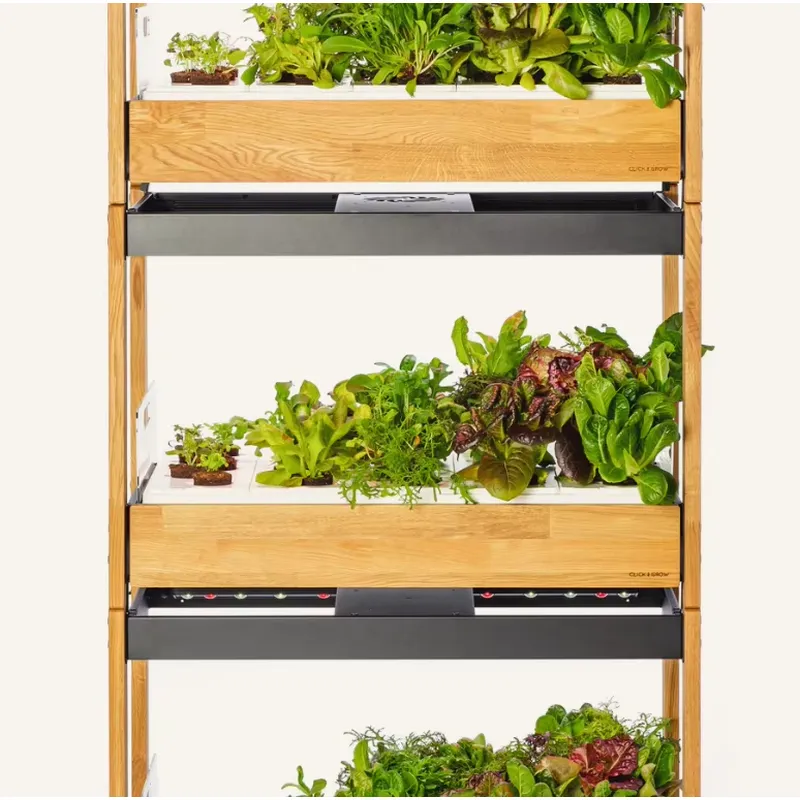 Hot Sale Heirloom Vegetable 27 - огляд і ціна Gardening Tools Kit For Sale