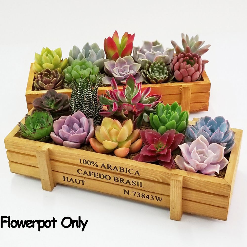 1 PC Tools Garden Decor Trough - огляд і ціна Gardening Tools Vintage