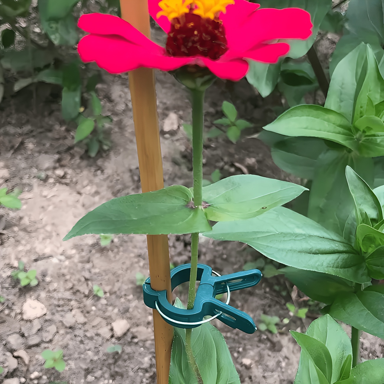 5PC Adjustable Plant Clips Lar - огляд і ціна Gardening Tools Essential