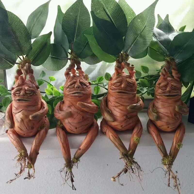 Mandrake Mandrake Resin Orname - огляд і ціна Gardening Tools Amazon