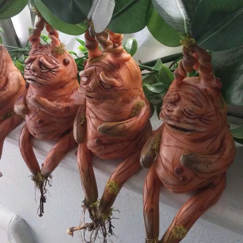 Mandrake Mandrake Resin Orname - огляд і ціна Gardening Tools Amazon