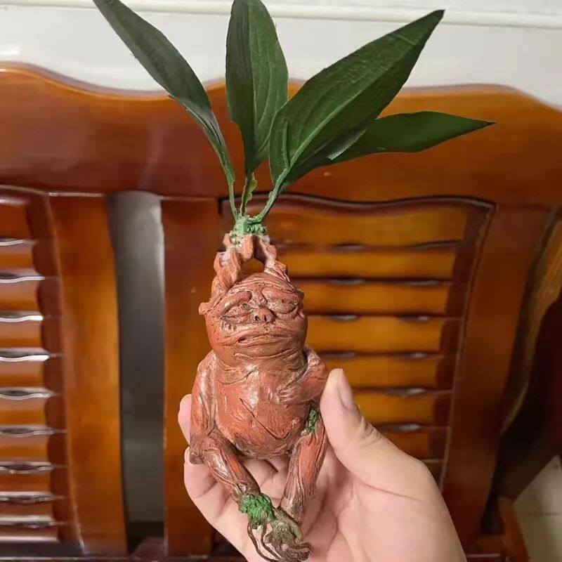 Mandrake Mandrake Resin Orname - огляд і ціна Gardening Tools Amazon